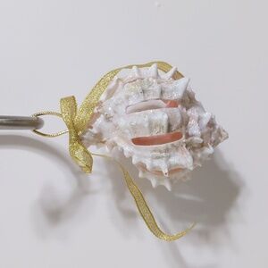 Sparkle Shell Ornament